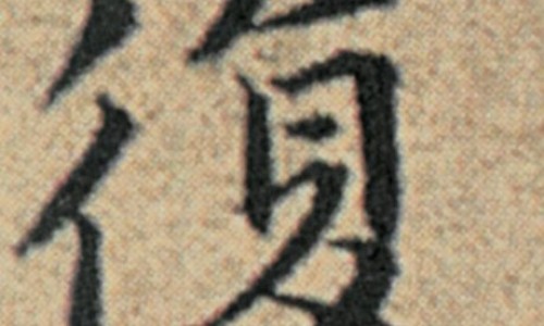 爵床的功效与作用网爵床的功效与作用主治知识网站,分享爵床的功效与作用和禁忌大全